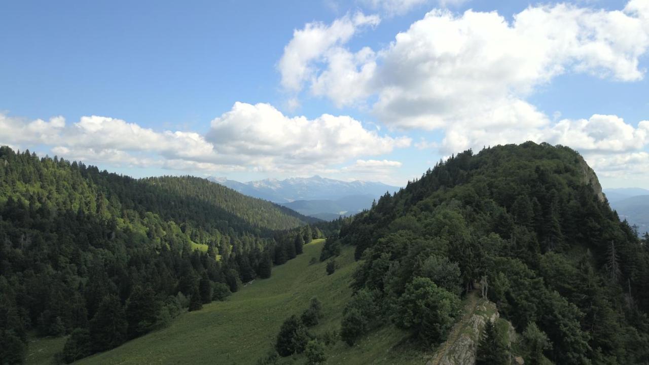 Plenouze Leilighet Autrans-Meaudre-en-Vercors Eksteriør bilde