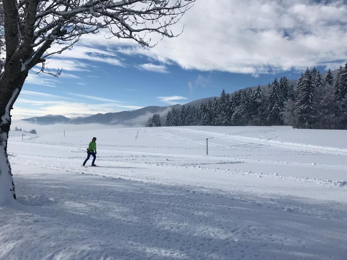 Plenouze Leilighet Autrans-Meaudre-en-Vercors Eksteriør bilde